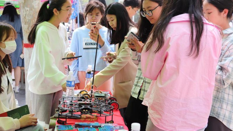 大数据分析系统规格分类：揭秘高效数据处理的关键**